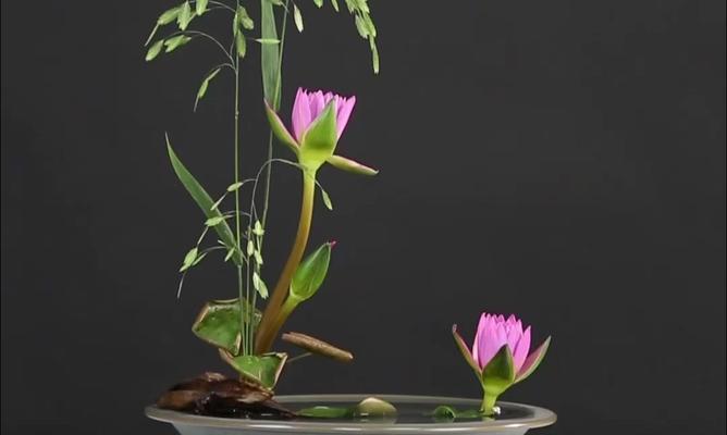 西安的花道插花有何特色？如何体验西安的花道艺术？