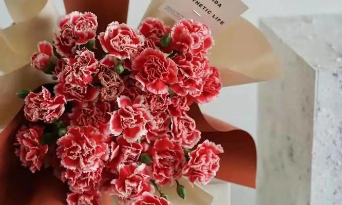 红色康乃馨代表什么？它的花语有哪些含义？