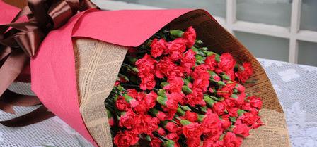 红色康乃馨代表什么？它的花语有哪些含义？
