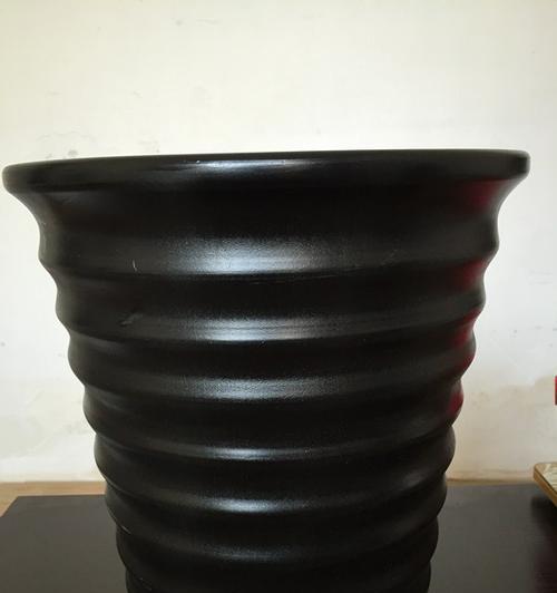 花盆中黑色圆形物体是什么？它会对植物造成伤害吗？