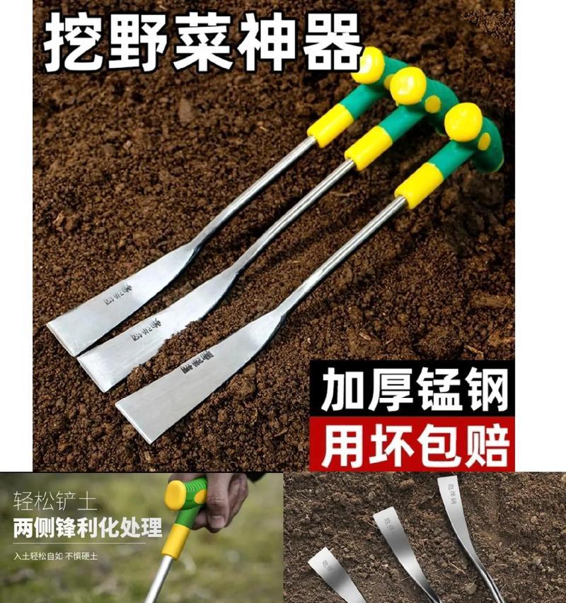 用铲子和土在野外建房可能吗？需要哪些技巧？