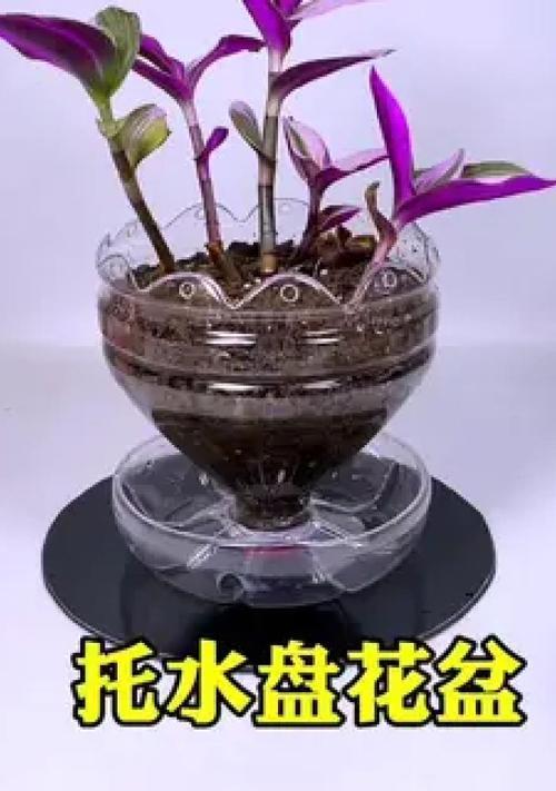 塑料花盆粘接最合适的胶水是什么？