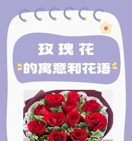 香槟与玫瑰混搭的花语含义？颜色搭配如何表达情感？