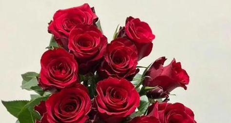 30朵玫瑰花语是什么？送30朵玫瑰代表什么含义？