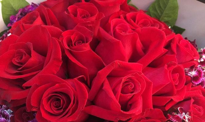 32朵玫瑰花代表什么？花语含义详解？