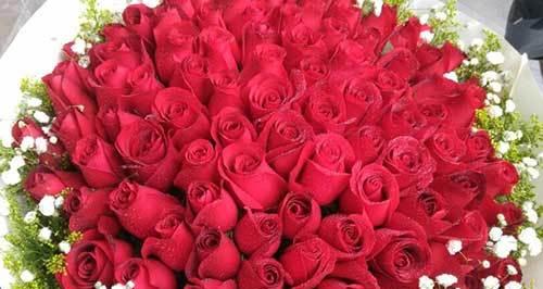 33朵玫瑰花的花语是什么？如何正确表达爱意？