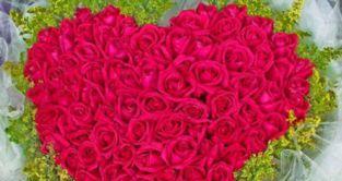 5朵玫瑰花代表什么含义？花语解读与送花建议？