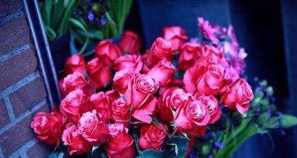 90朵玫瑰花花语是什么意思？送90朵玫瑰代表什么情感？