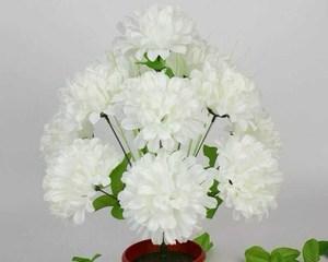 清明节传统花卉有哪些？清明节用什么花来纪念故人？