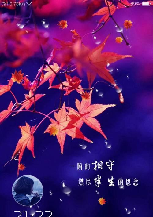 什么花代表放下过往？揭秘花语背后的故事？