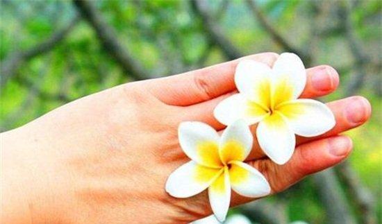 什么花代表新生？揭秘花语背后的含义！