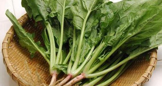 菠菜的根能吃吗？食用菠菜根的好处与注意事项是什么？