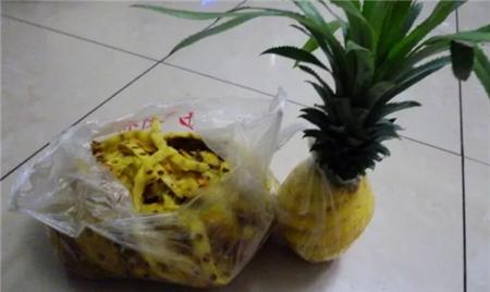 菠萝皮能用作肥料吗？如何正确使用菠萝皮作为肥料？