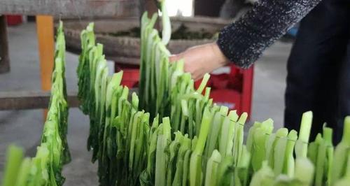 菜蕻又叫什么菜？常见别名有哪些？