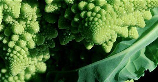 菜花如何正确保存？储存保鲜有哪些技巧？