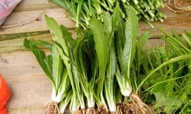 菜花的根茎能吃吗？食用方法和营养价值是什么？