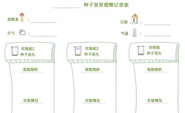 菜心怎么种植？最佳种植时间是什么时候？