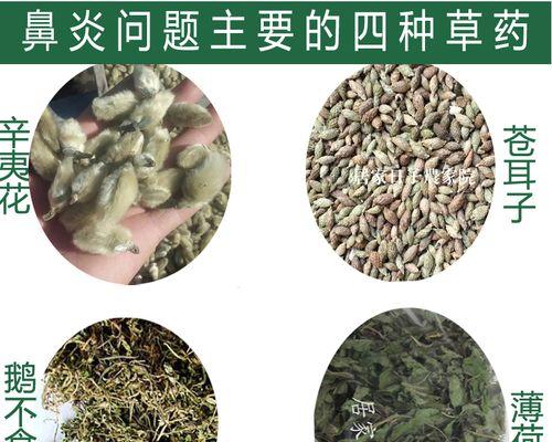 苍耳草有哪些神奇功效？使用时应注意哪些禁忌和副作用？