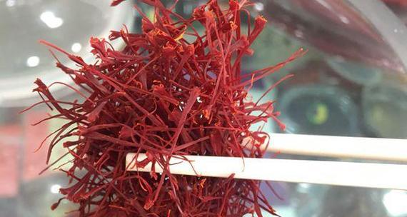 藏红花冬天会冻死吗？如何在寒冷季节保护藏红花？