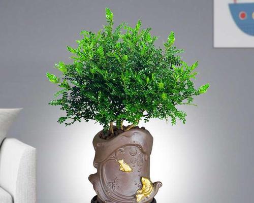 厕所里放什么花风水好？如何选择合适的花卉来提升家居风水？