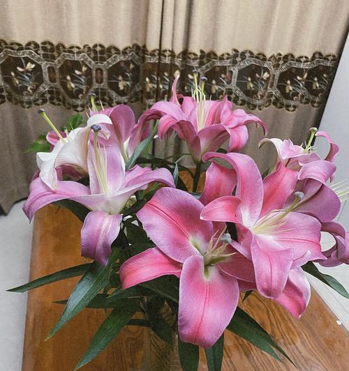 百合花的含义是什么？代表什么意思？