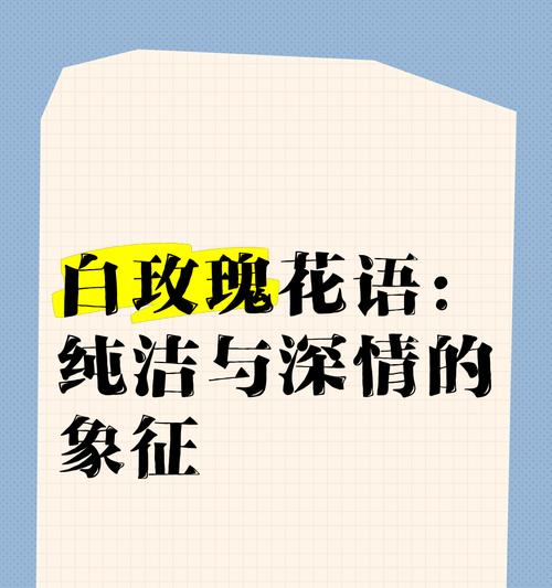 738朵玫瑰花的含义是什么？如何用花语表达深情？