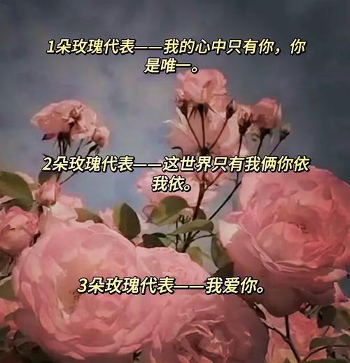 五朵玫瑰花颜色不同各自代表什么含义？