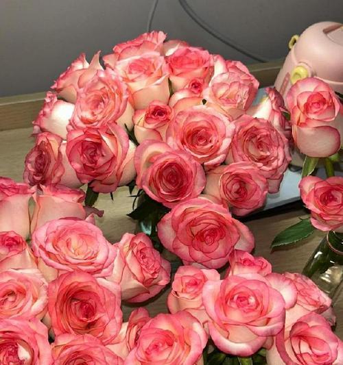 白玫瑰加艾莎玫瑰的花语代表什么？两者结合有何特殊含义？