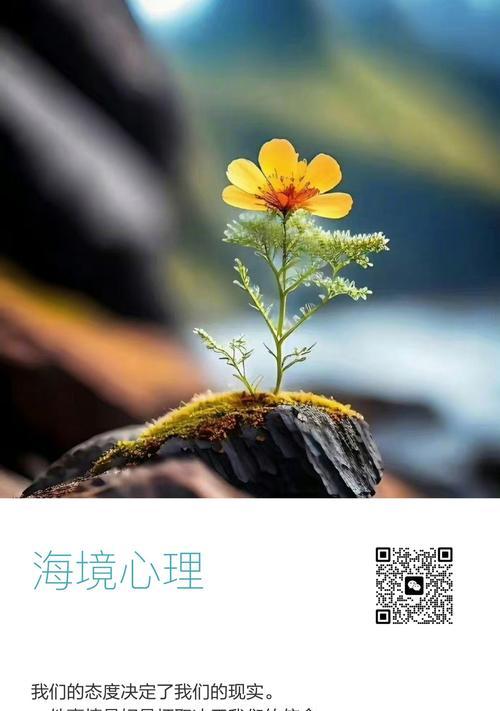 没送玫瑰花给她有何含义？这代表了什么态度？