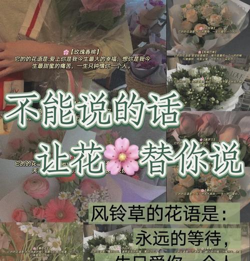 花语通常表达哪些情感或信息？