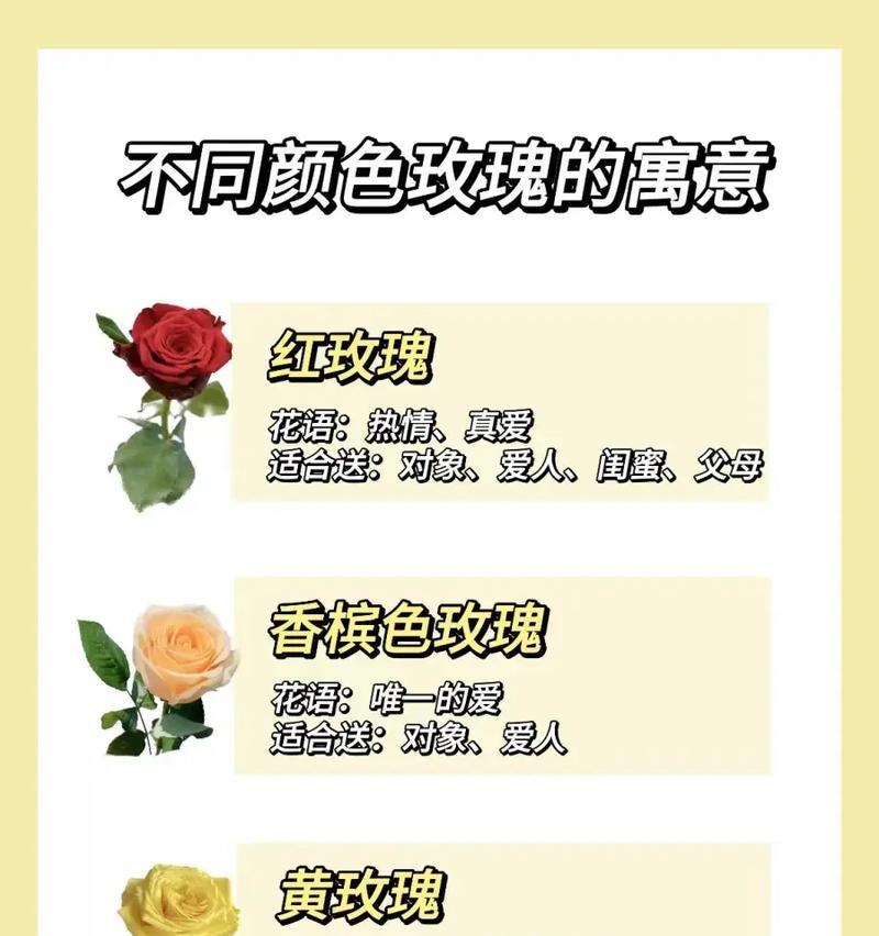 玫瑰花为何不像假花？这种现象背后的含义是什么？