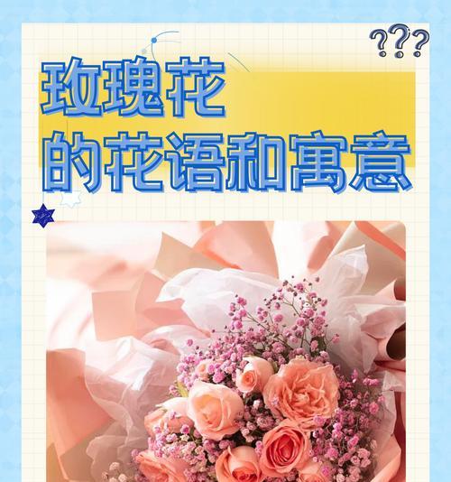 玫瑰花为何不像假花？这种现象背后的含义是什么？