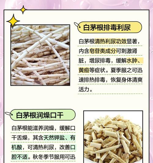 植物白色根尖是什么？如何处理植物根尖问题？