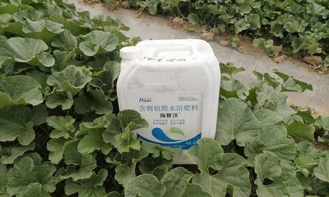 哪些肥料能促进植物快速生长？选择植物肥料的技巧是什么？