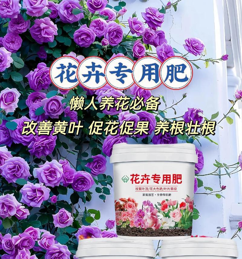 哪些肥料能促进植物快速生长？选择植物肥料的技巧是什么？
