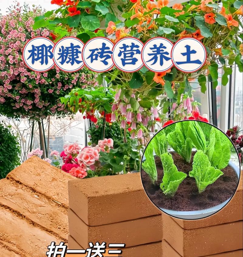 椰土适合种植哪些类型的植物？它们的生长情况如何？