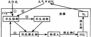 植物存活条件有哪些关键因素？