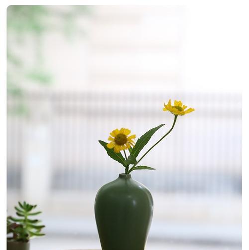 镂空花瓶适合哪些插花植物？如何搭配出最佳效果？