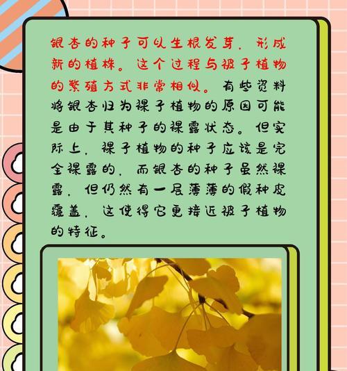 被子植物是什么意思？被子植物有哪些特点？