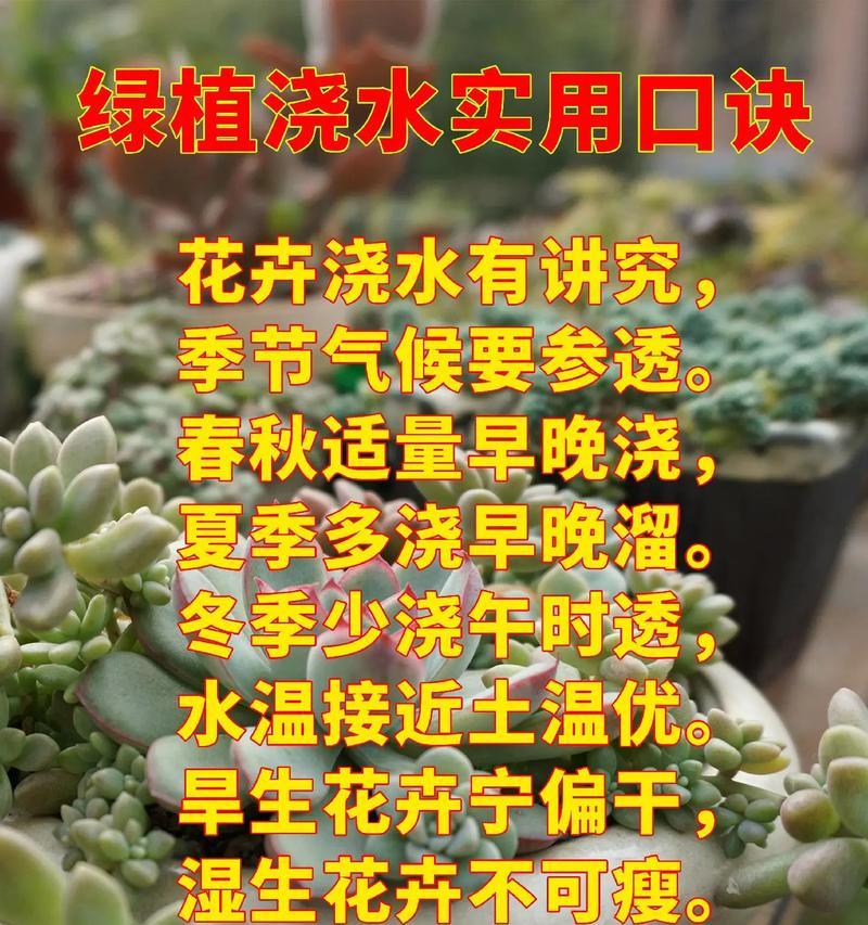 南方种植花卉时应该注意哪些问题？如何应对南方的气候条件？