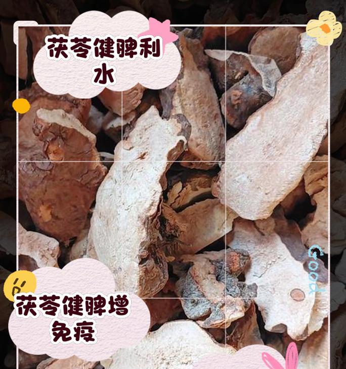 茯苓属于哪个植物科？它的主要特性是什么？