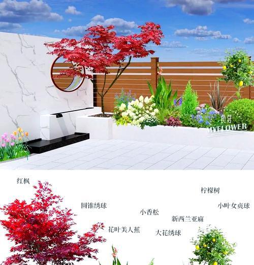 花坛中适合种植哪些小型花卉？它们的生长习性如何？