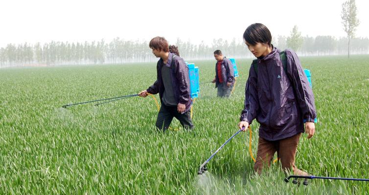 果蔗种植中常用的农药有哪些？如何正确使用？
