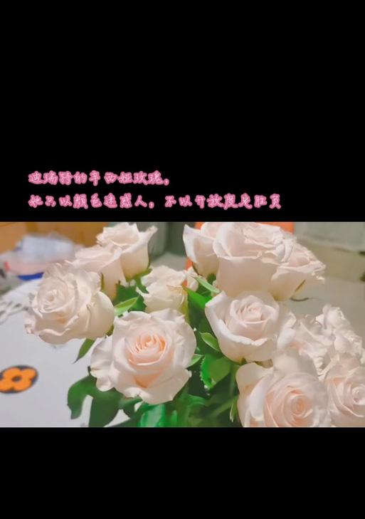 辛西娅花语的寓意是什么？