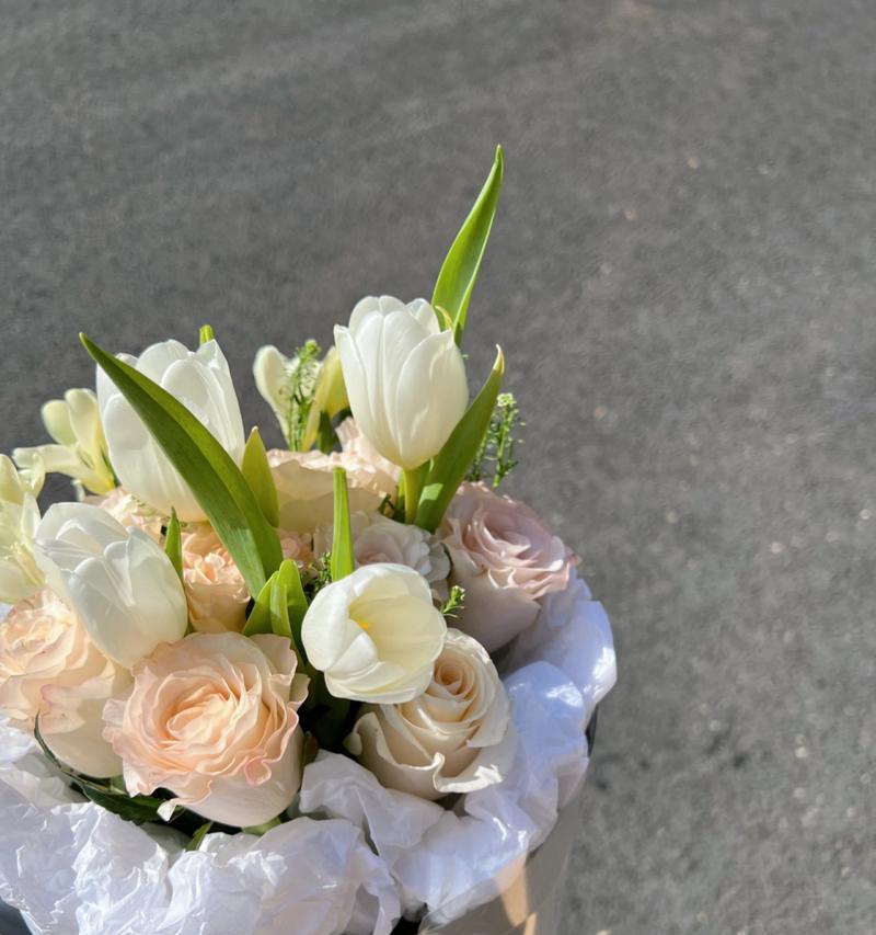 辛西娅花语的寓意是什么？