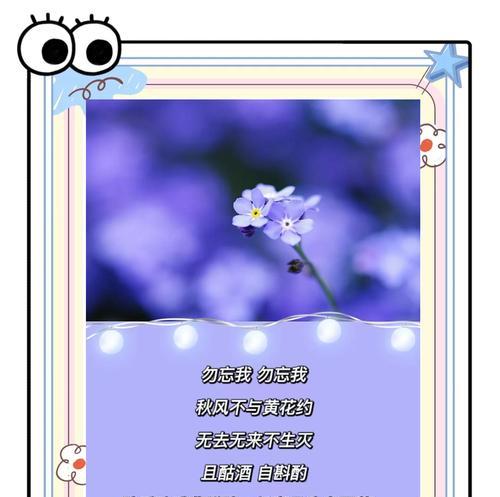 永恒不变的花语代表什么？