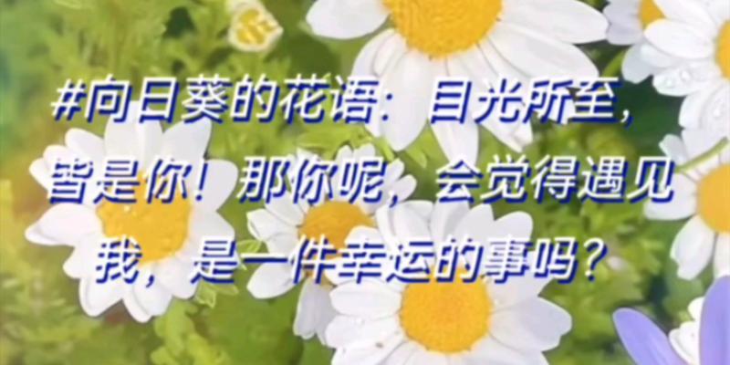 遇见的花语代表幸运吗？