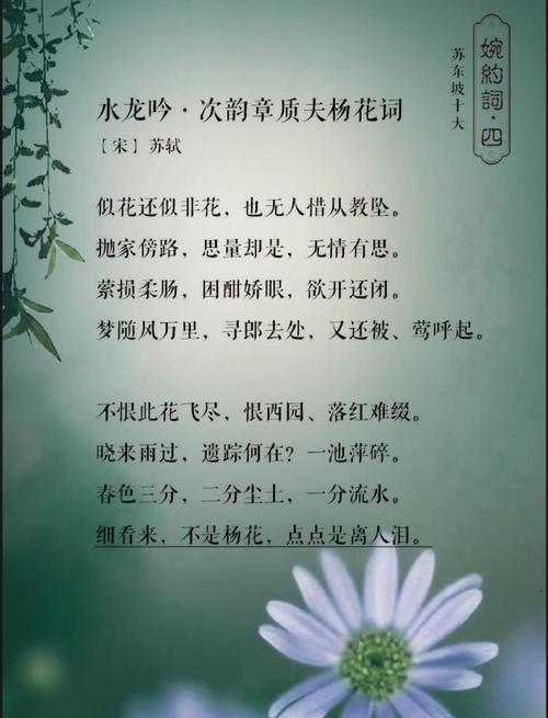 不喧宾夺主的花语有何深意？