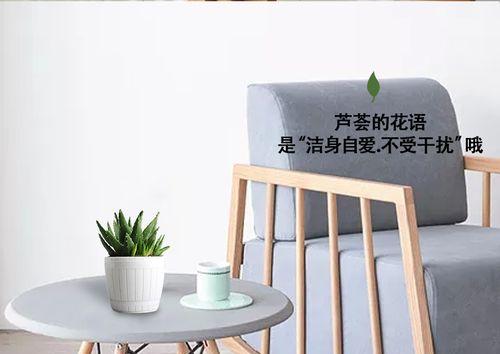 不受干扰的花语具体指什么？