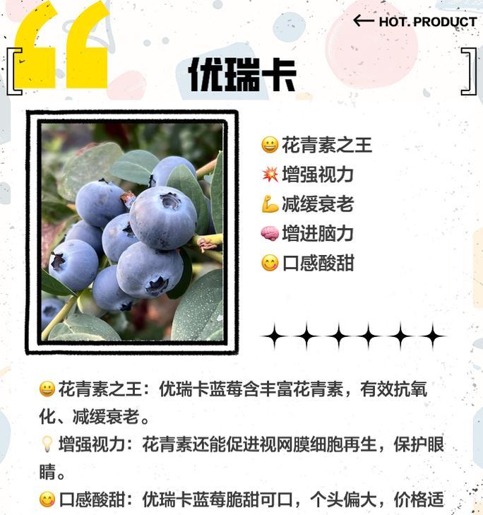 蓝莓作为花语有何特殊含义？